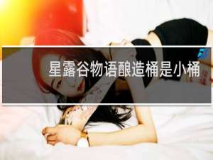 星露谷物语酿造桶是小桶