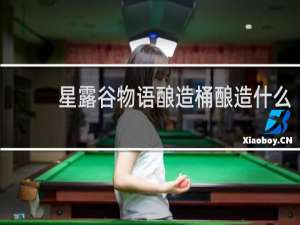 星露谷物语酿造桶酿造什么