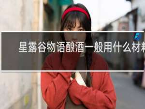 星露谷物语酿酒一般用什么材料