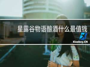 星露谷物语酿酒什么最值钱