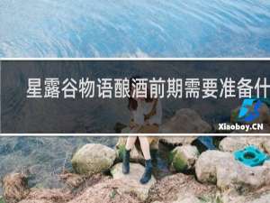 星露谷物语酿酒前期需要准备什么