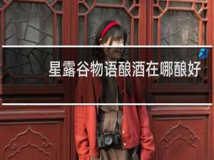 星露谷物语酿酒在哪酿好