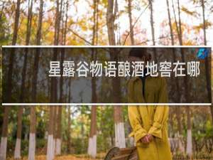 星露谷物语酿酒地窖在哪
