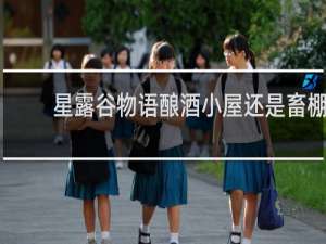 星露谷物语酿酒小屋还是畜棚