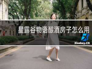 星露谷物语酿酒房子怎么用