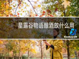 星露谷物语酿酒放什么用