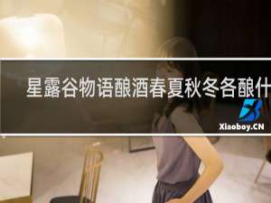 星露谷物语酿酒春夏秋冬各酿什么