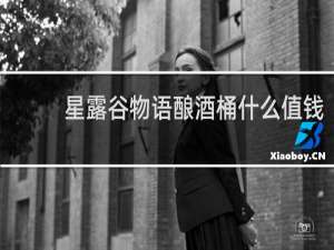 星露谷物语酿酒桶什么值钱