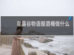 星露谷物语酿酒桶做什么