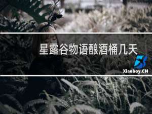 星露谷物语酿酒桶几天