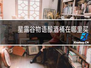 星露谷物语酿酒桶在哪里买