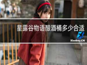 星露谷物语酿酒桶多少合适