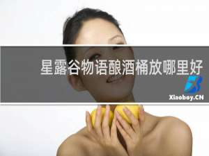 星露谷物语酿酒桶放哪里好