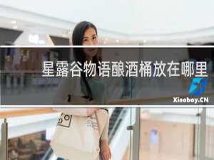 星露谷物语酿酒桶放在哪里