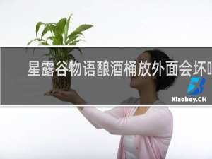 星露谷物语酿酒桶放外面会坏吗