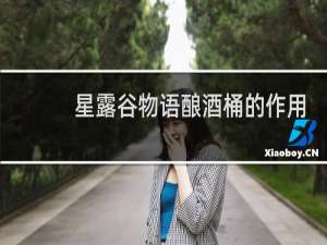 星露谷物语酿酒桶的作用