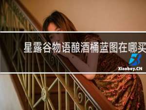星露谷物语酿酒桶蓝图在哪买
