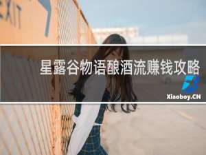 星露谷物语酿酒流赚钱攻略