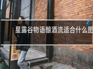 星露谷物语酿酒流适合什么图