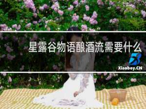 星露谷物语酿酒流需要什么
