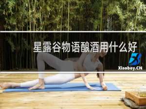 星露谷物语酿酒用什么好