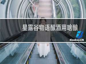 星露谷物语酿酒用啥酿