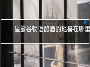 星露谷物语酿酒的地窖在哪里