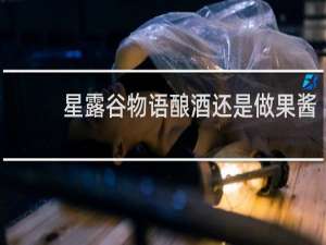 星露谷物语酿酒还是做果酱