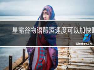 星露谷物语酿酒速度可以加快吗