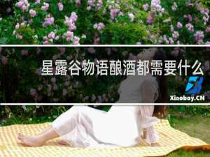 星露谷物语酿酒都需要什么