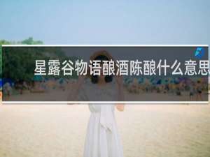 星露谷物语酿酒陈酿什么意思