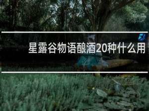 星露谷物语酿酒 种什么用