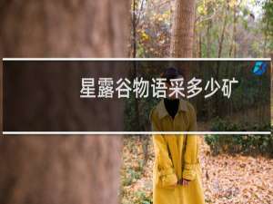 星露谷物语采多少矿