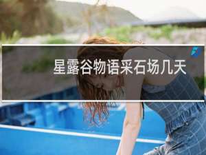 星露谷物语采石场几天