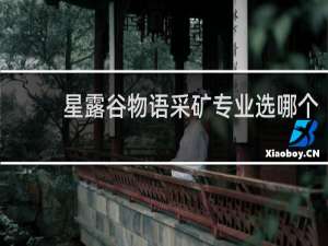 星露谷物语采矿专业选哪个