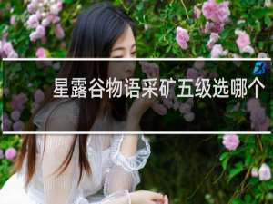 星露谷物语采矿五级选哪个