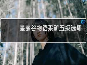 星露谷物语采矿五级选哪