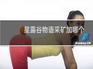 星露谷物语采矿加哪个