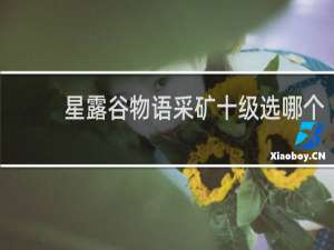 星露谷物语采矿十级选哪个