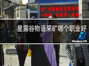 星露谷物语采矿哪个职业好