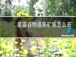 星露谷物语采矿场怎么去