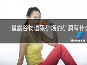 星露谷物语采矿场的矿洞有什么