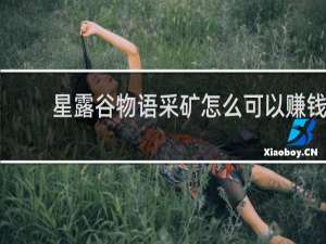 星露谷物语采矿怎么可以赚钱