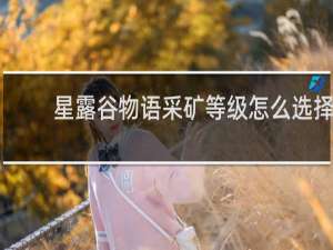 星露谷物语采矿等级怎么选择