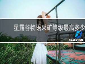 星露谷物语采矿等级最高多少