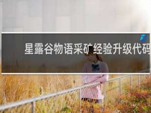 星露谷物语采矿经验升级代码