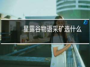 星露谷物语采矿选什么