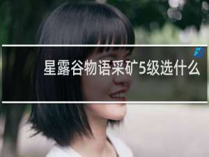 星露谷物语采矿5级选什么