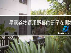 星露谷物语采野莓的篮子在哪找