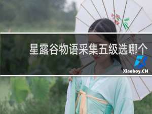 星露谷物语采集五级选哪个